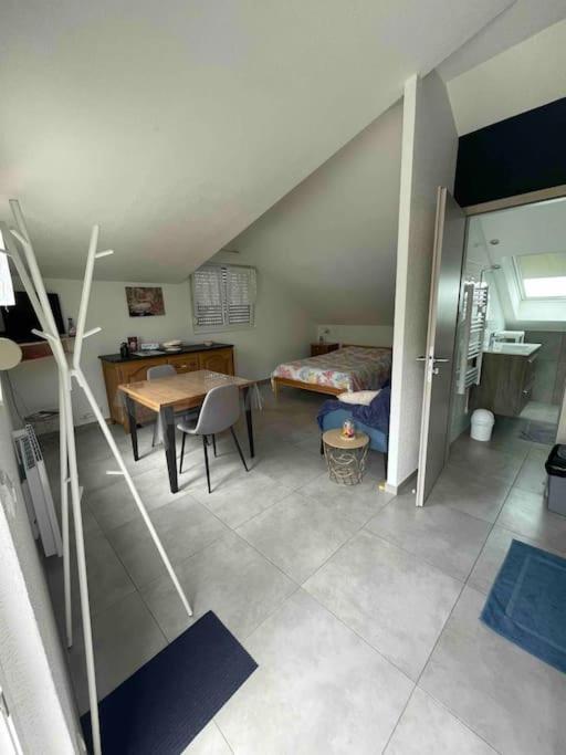 Studio Tout Equipe Aux Pieds Des Vosges Leimbach エクステリア 写真